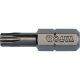 YATO Bithegy Torx T25 1/4" 25 mm (10 db/cs) YATO